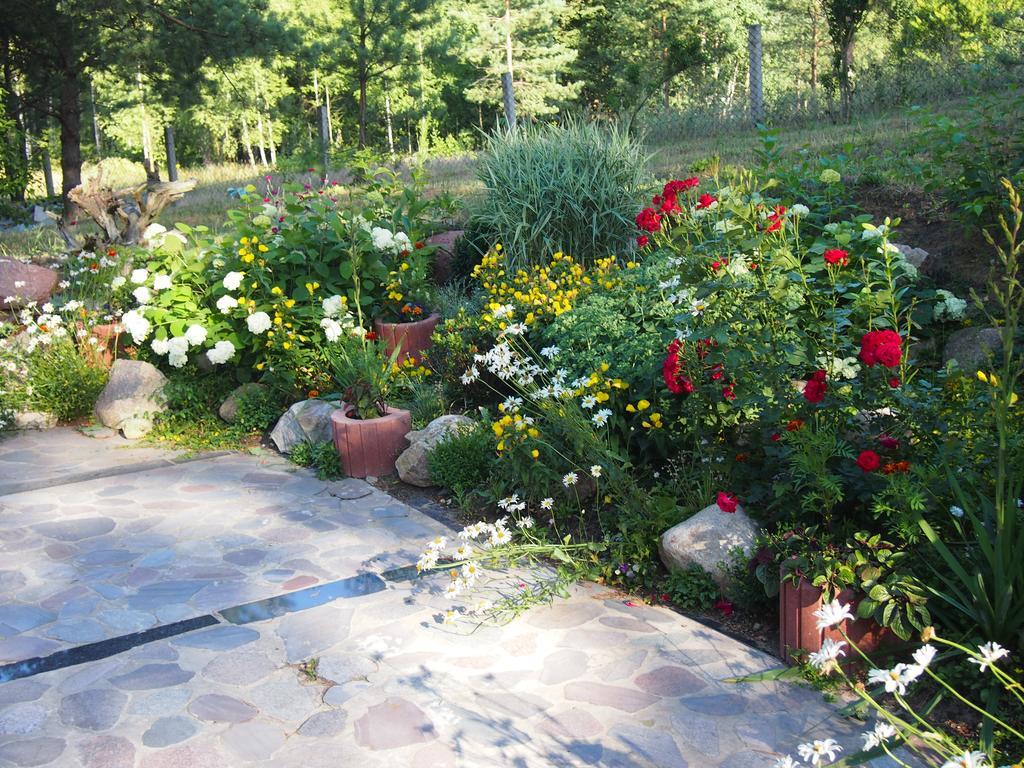 Domek Lesna Przystan Strekowizna ภายนอก รูปภาพ
